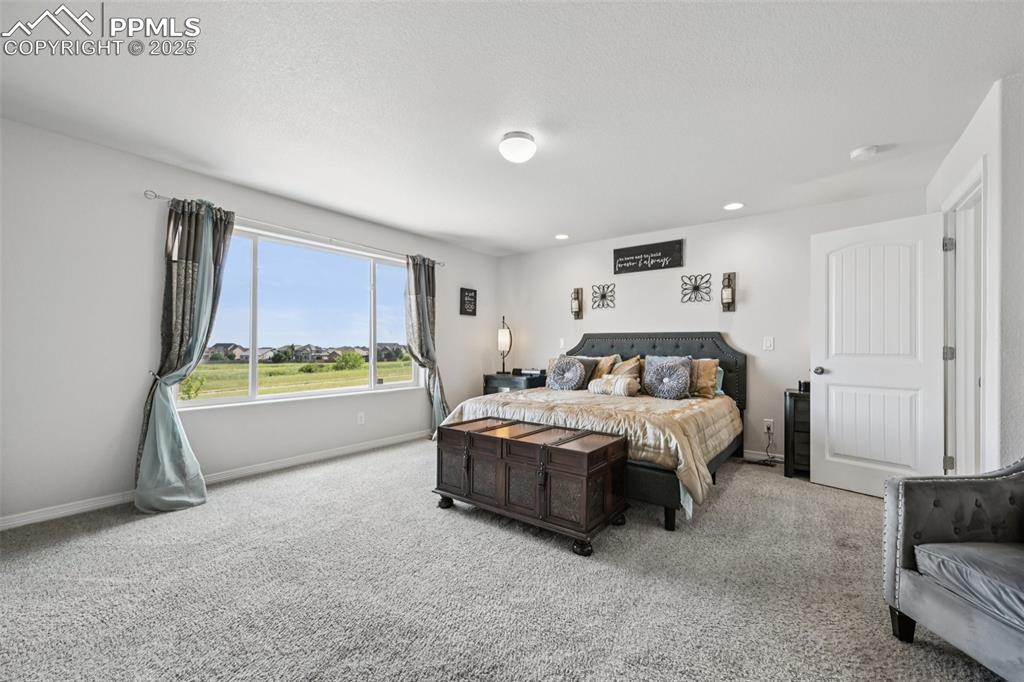 Image 24 of 44: Bedroom featuring carpet floors and recessed lighting