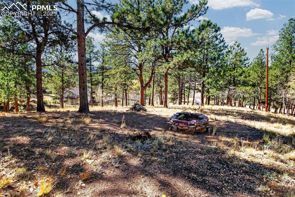 Image 37 of 42: Yard