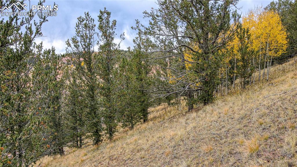 Image 8 of 19: Other