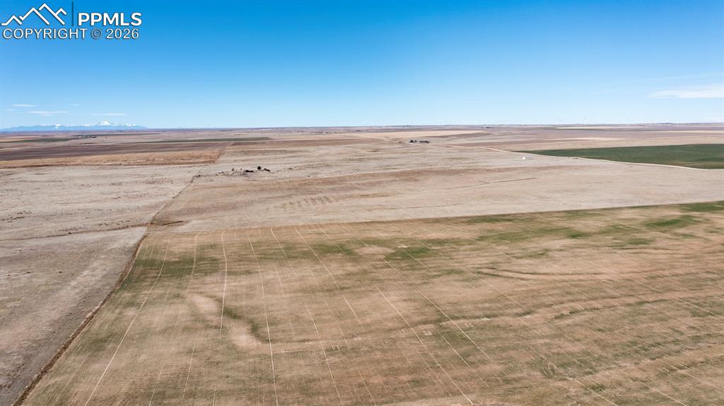 Image 46 of 47: Yard