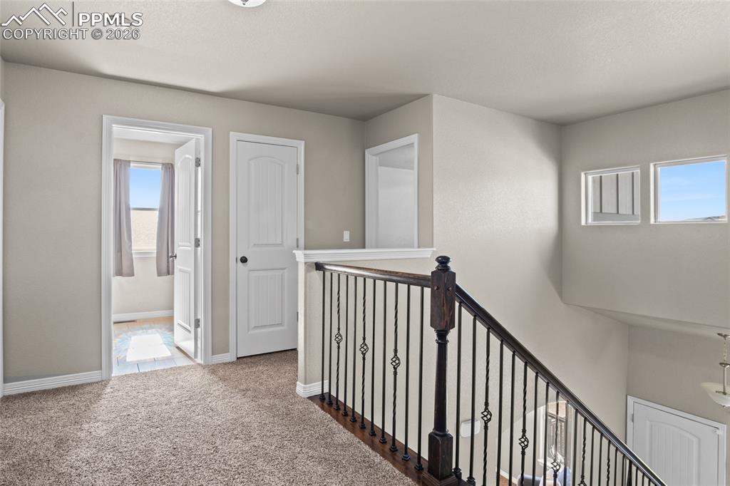 Image 14 of 33: Other