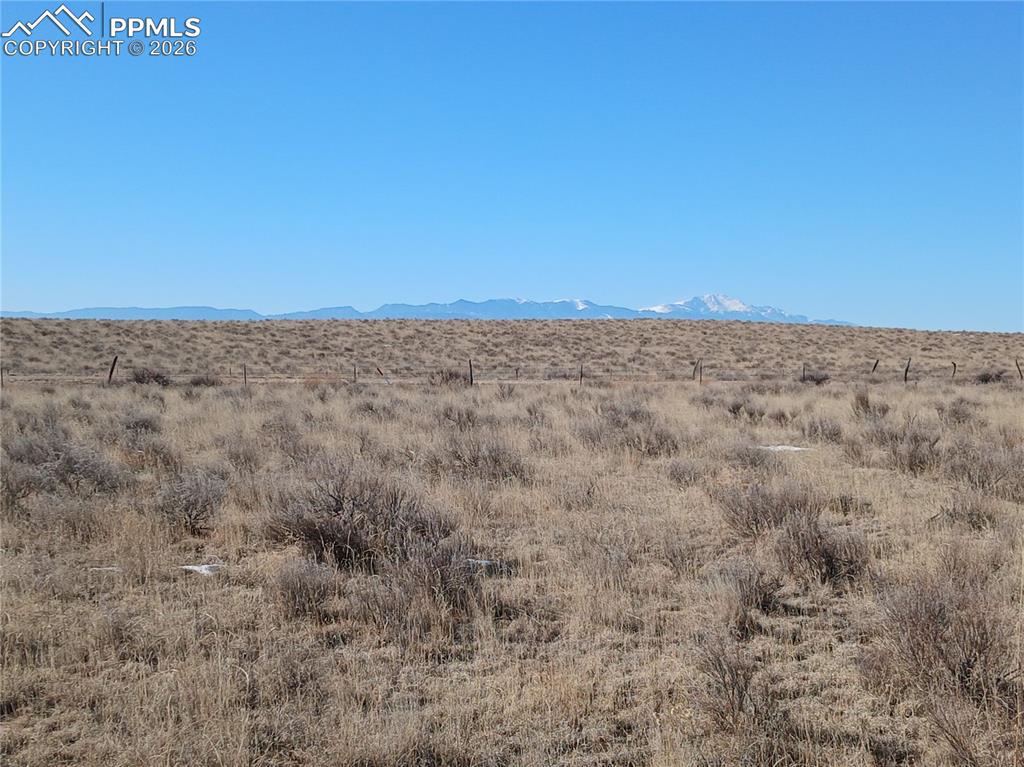 Image 10 of 12: View