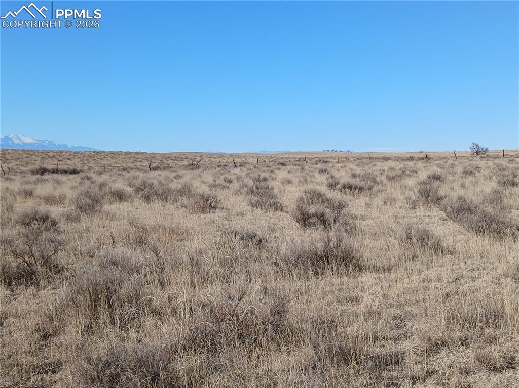 Image 3 of 12: Other