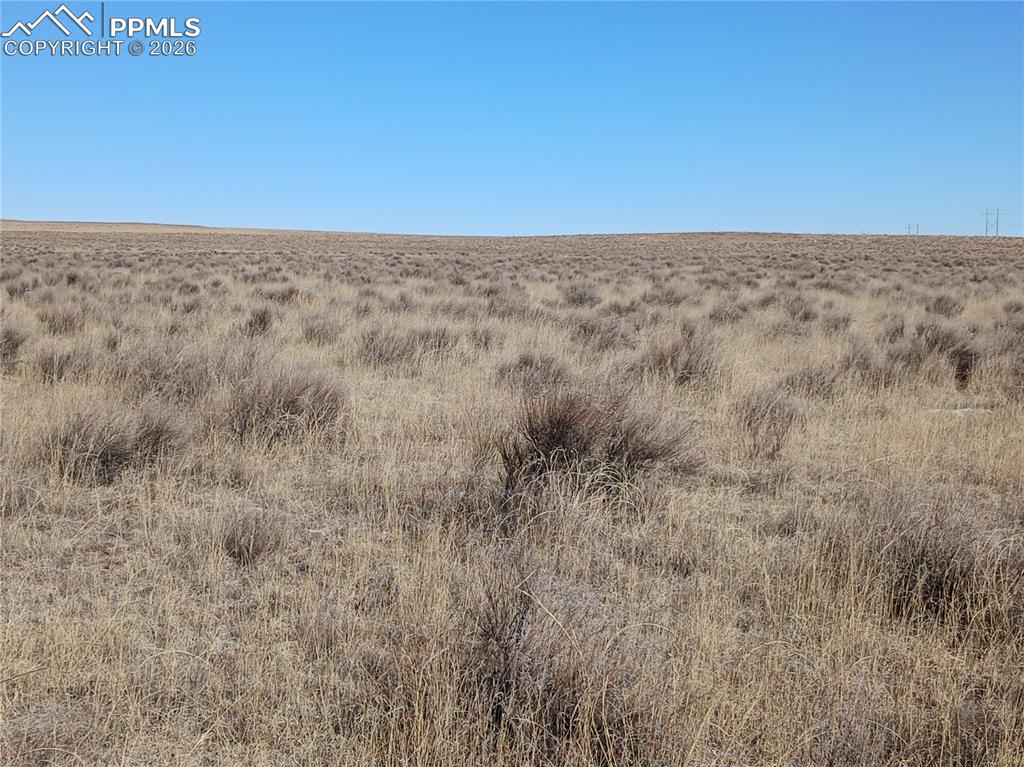 Image 6 of 12: Other