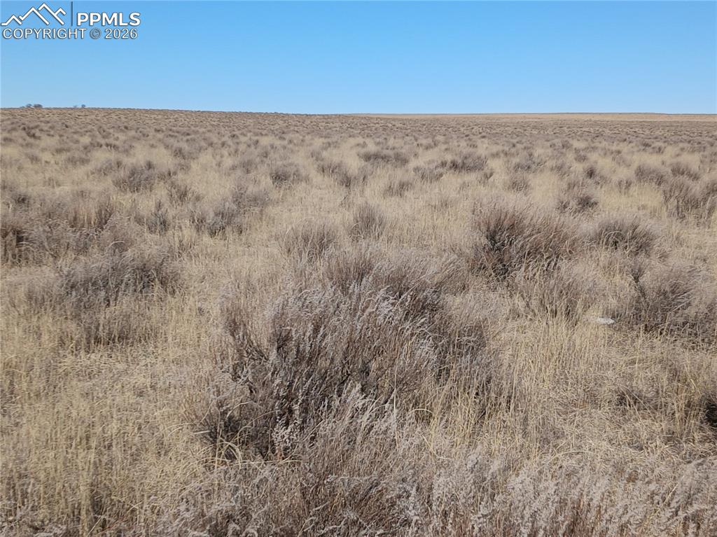 Image 9 of 12: Other