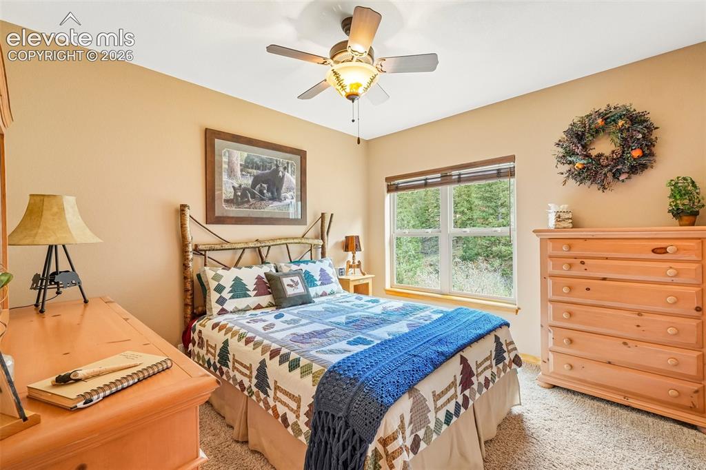 Image 38 of 50: Bedroom 3 lower level with walk in closet and amazing views just outside th