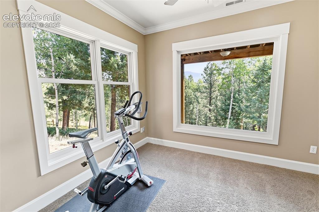 Image 31 of 43: Lower Level Office~Work out area