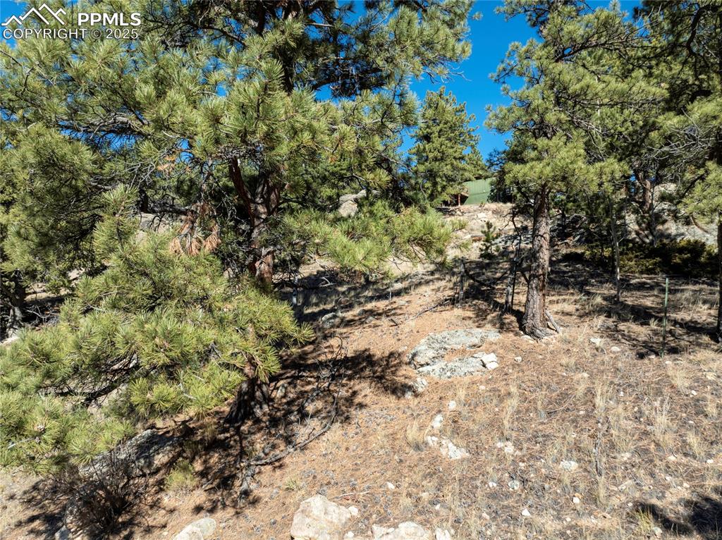 Image 4 of 18: Other