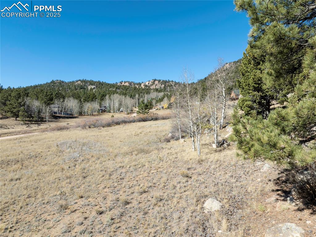 Image 5 of 18: Other