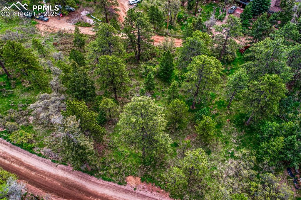 Image 11 of 19: Aerial View