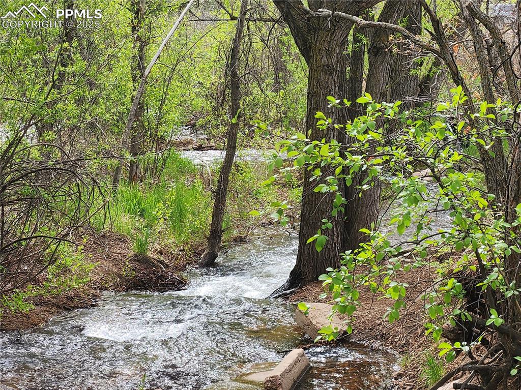 Image 4 of 19: Neighborhood Seasonal Stream within walking distance