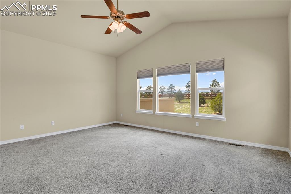 Image 19 of 50: Other