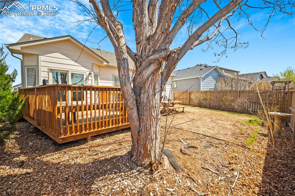 Image 45 of 47: Back of Structure