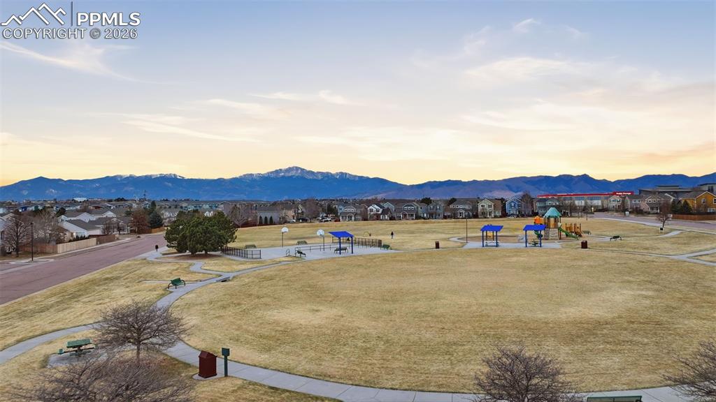 Image 24 of 24: Other