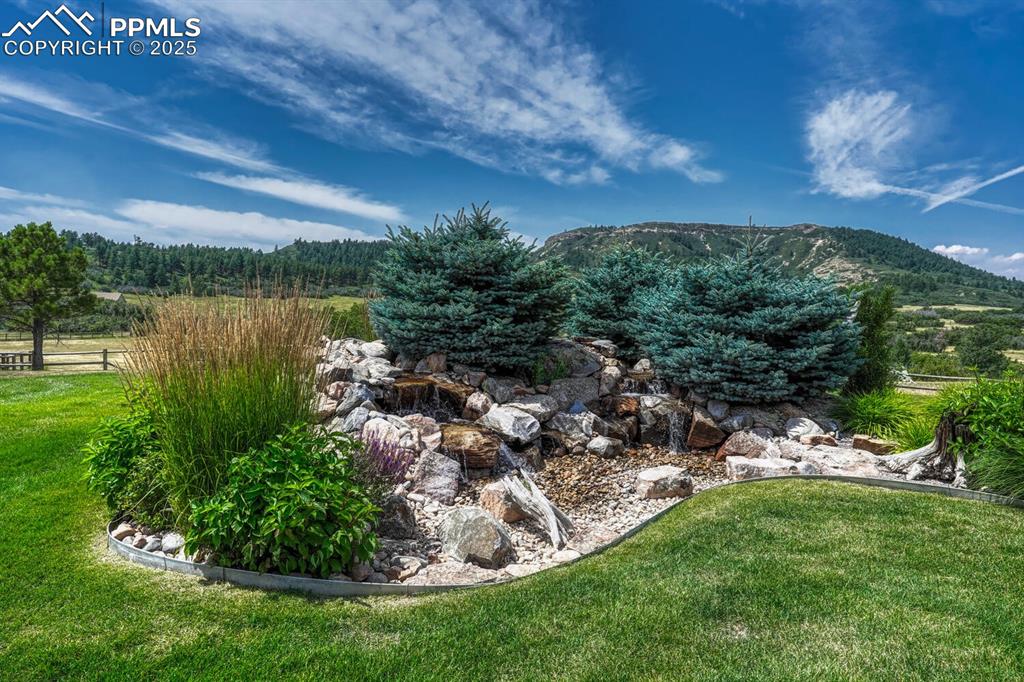 Image 42 of 50: Yard