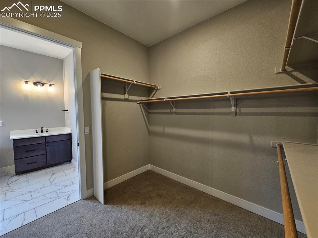 Image 12 of 20: Walk in closet with light carpet and a sink