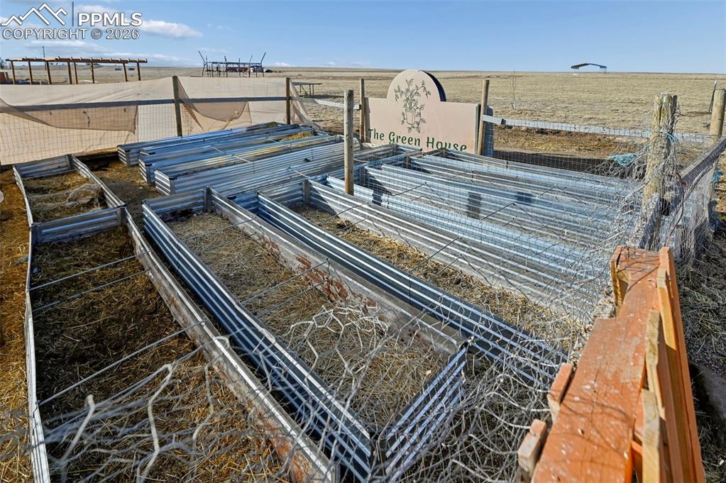 Image 14 of 31: Garden