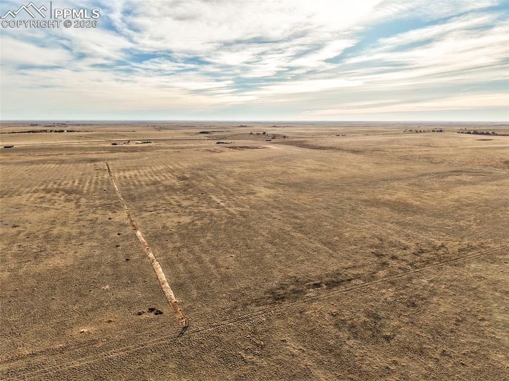 Image 27 of 31: Bird