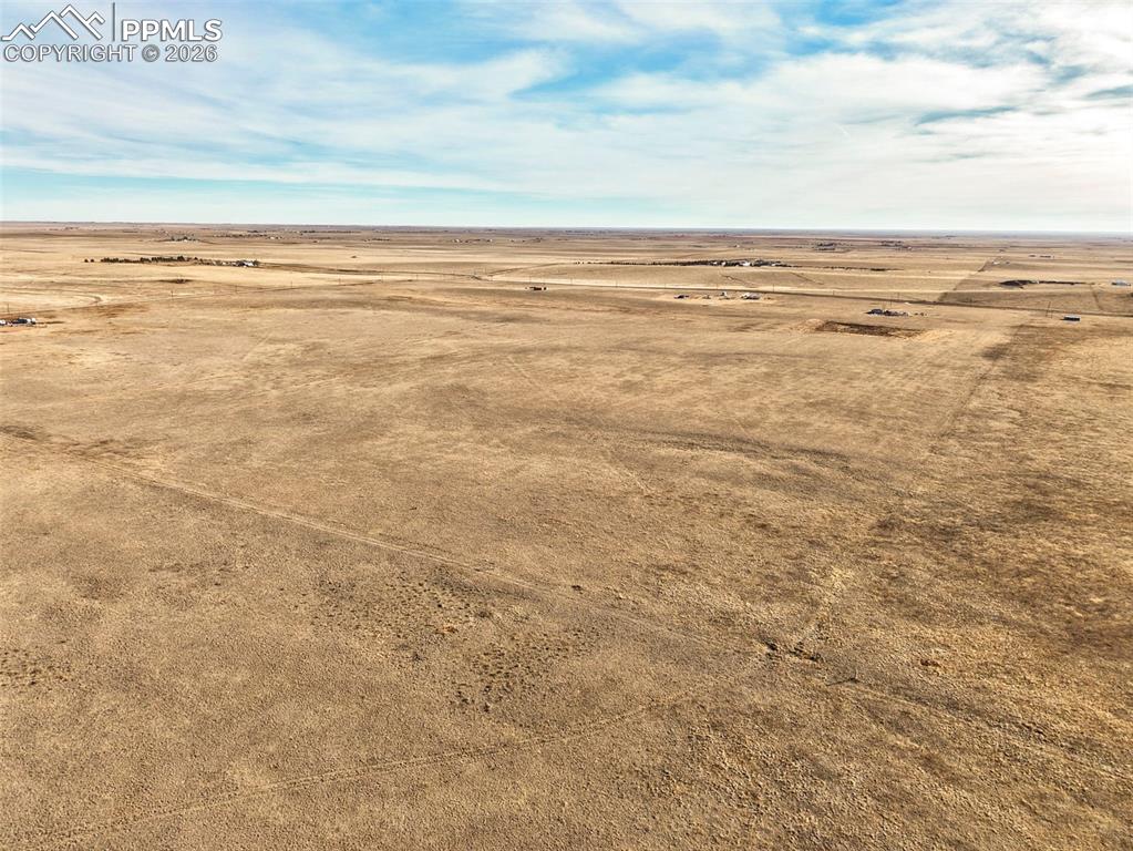 Image 30 of 31: Bird