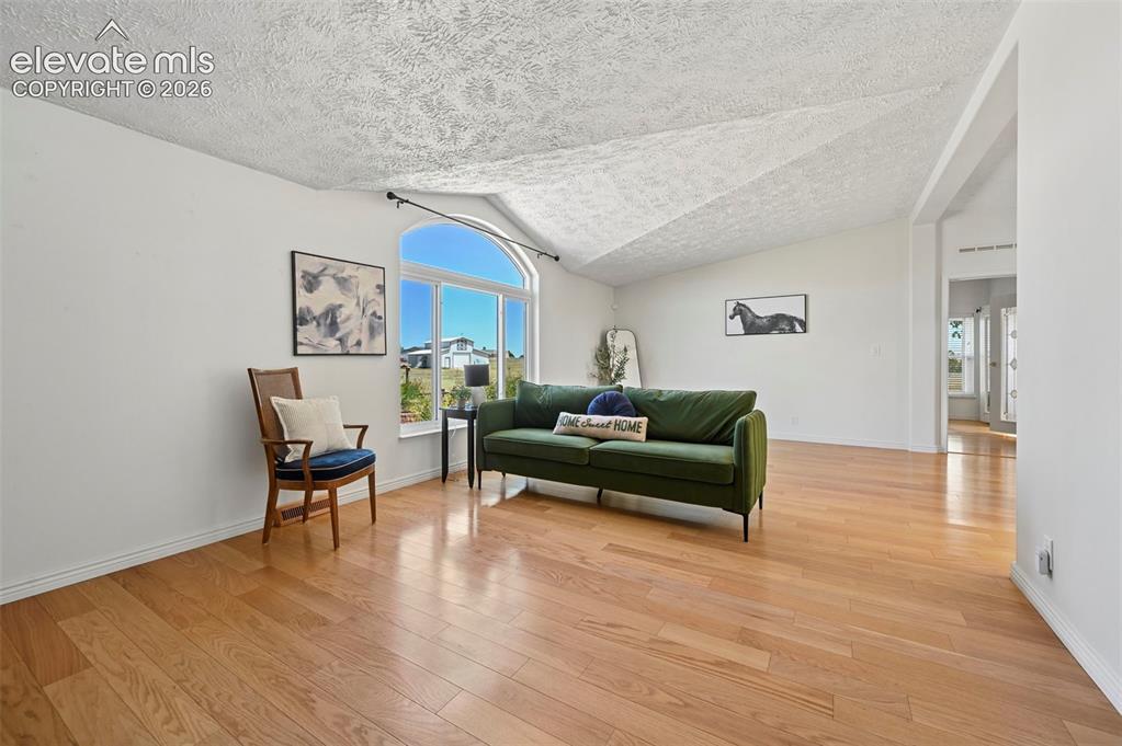 Image 8 of 38: Vaulted ceiling with textured finish, expansive arched window, light wood-f
