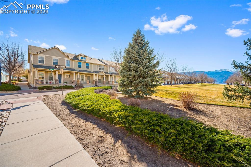 Image 5 of 37: Other