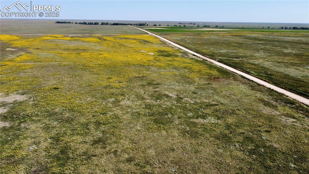 Image 10 of 17: Aerial View