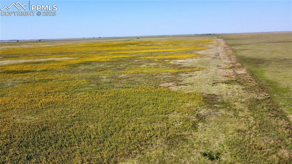 Image 11 of 17: Community