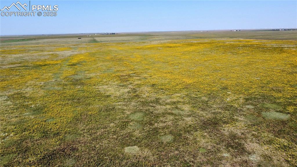 Image 13 of 17: Yard