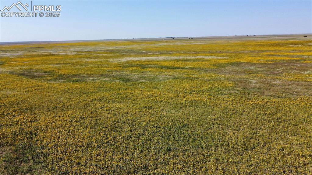 Image 15 of 17: Other