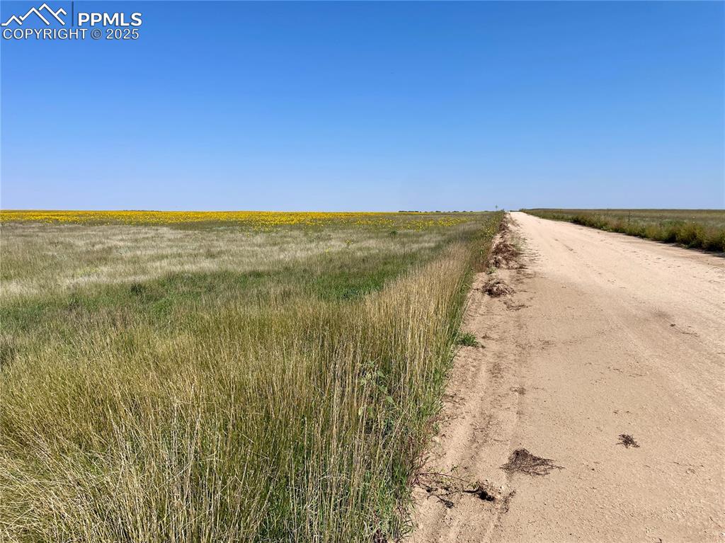 Image 16 of 17: Community