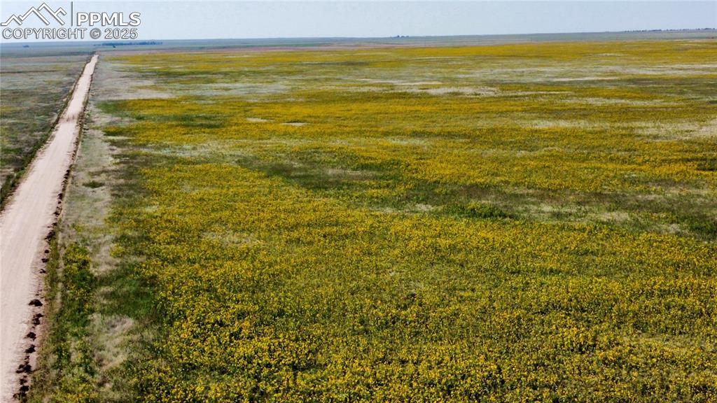 Image 2 of 17: Other