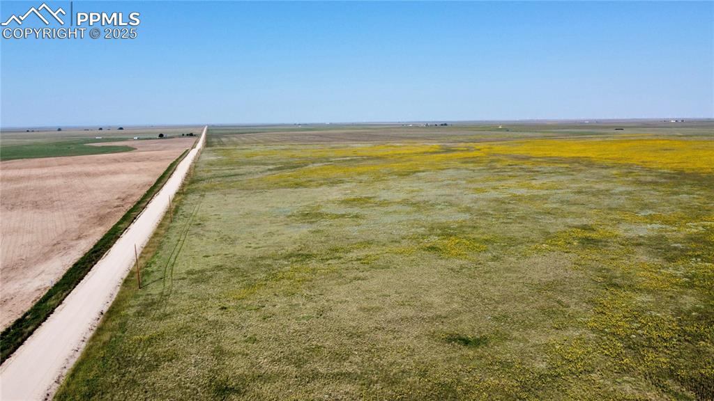 Image 7 of 17: Other