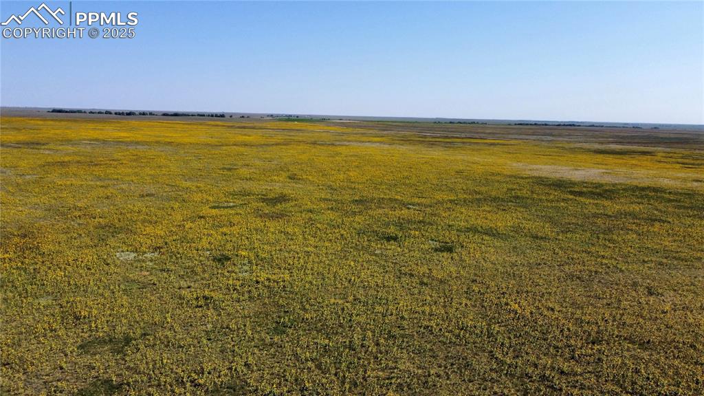 Image 9 of 17: Other