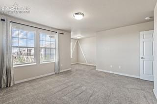 Image 8 of 19: Other