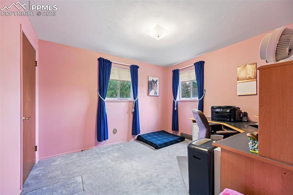 Image 10 of 23: Office with healthy amount of natural light, light carpet, and a textured c