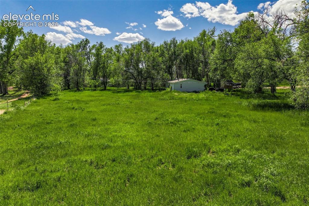 Image 18 of 29: Yard