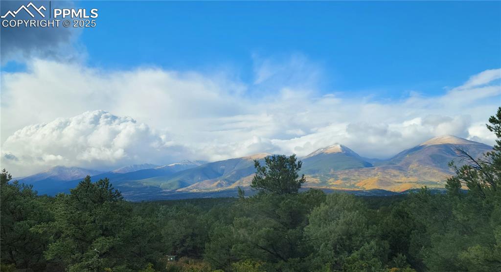 Image 43 of 43: View