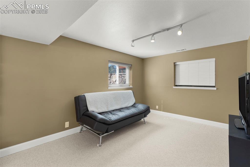 Image 31 of 46: Living area with carpet, track lighting, and a textured ceiling