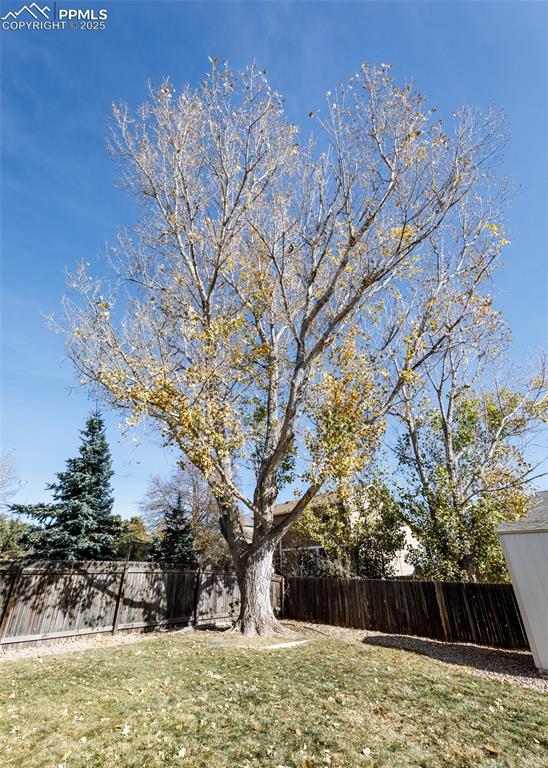 Image 25 of 25: Yard