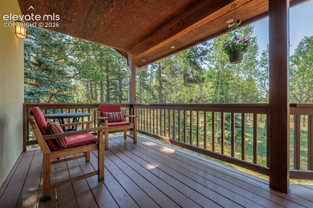 Image 19 of 43: Deck