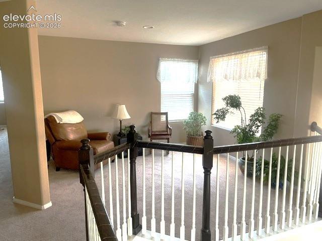 Image 24 of 39: upper level loft drenched in sunshine