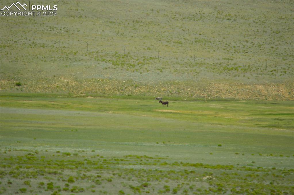 Image 4 of 6: View of community with a view of rural / pastoral area and a lawn