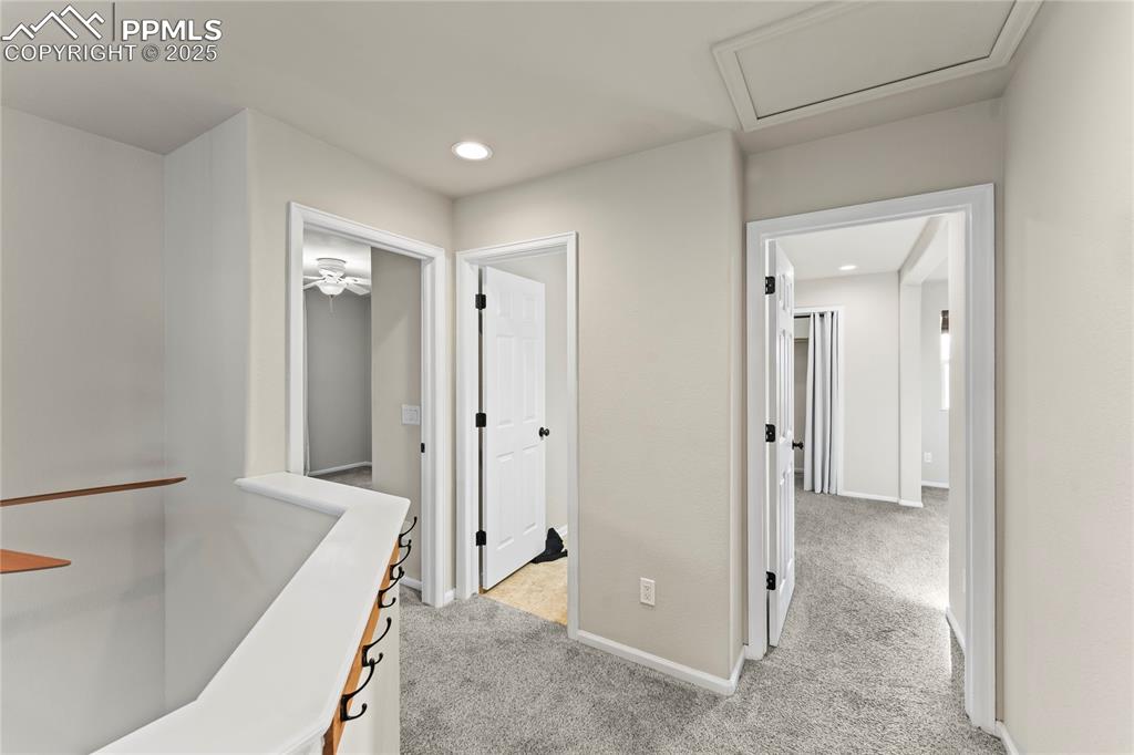 Image 14 of 31: Other