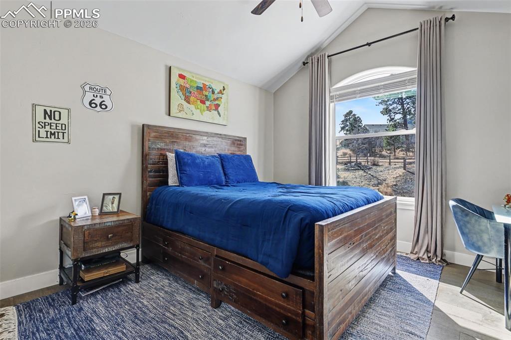 Image 25 of 48: No Description Available