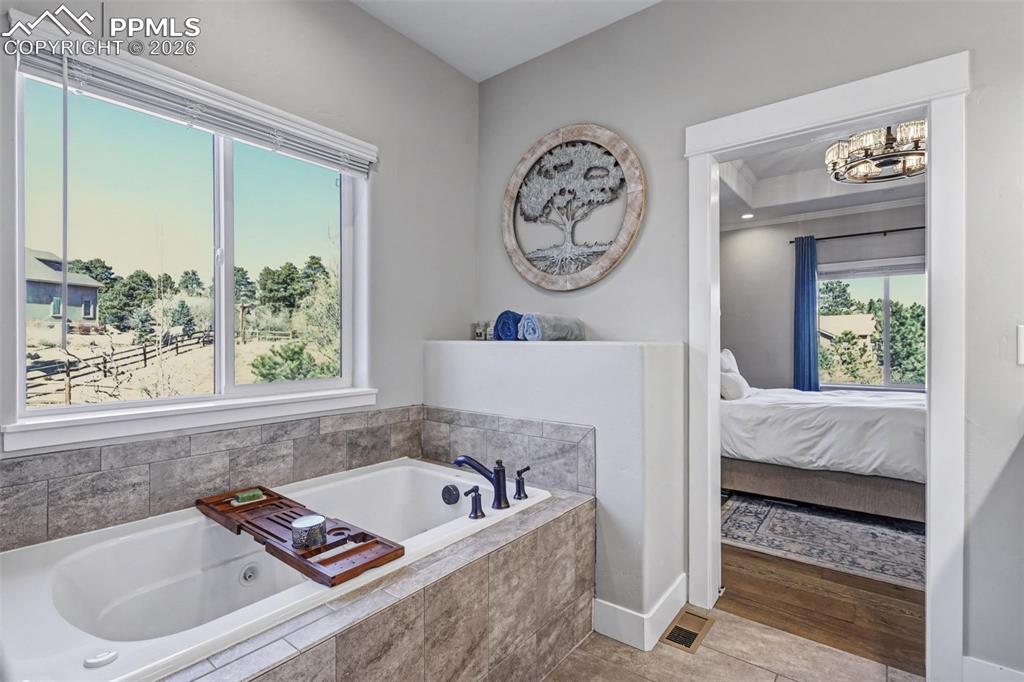 Image 30 of 48: No Description Available