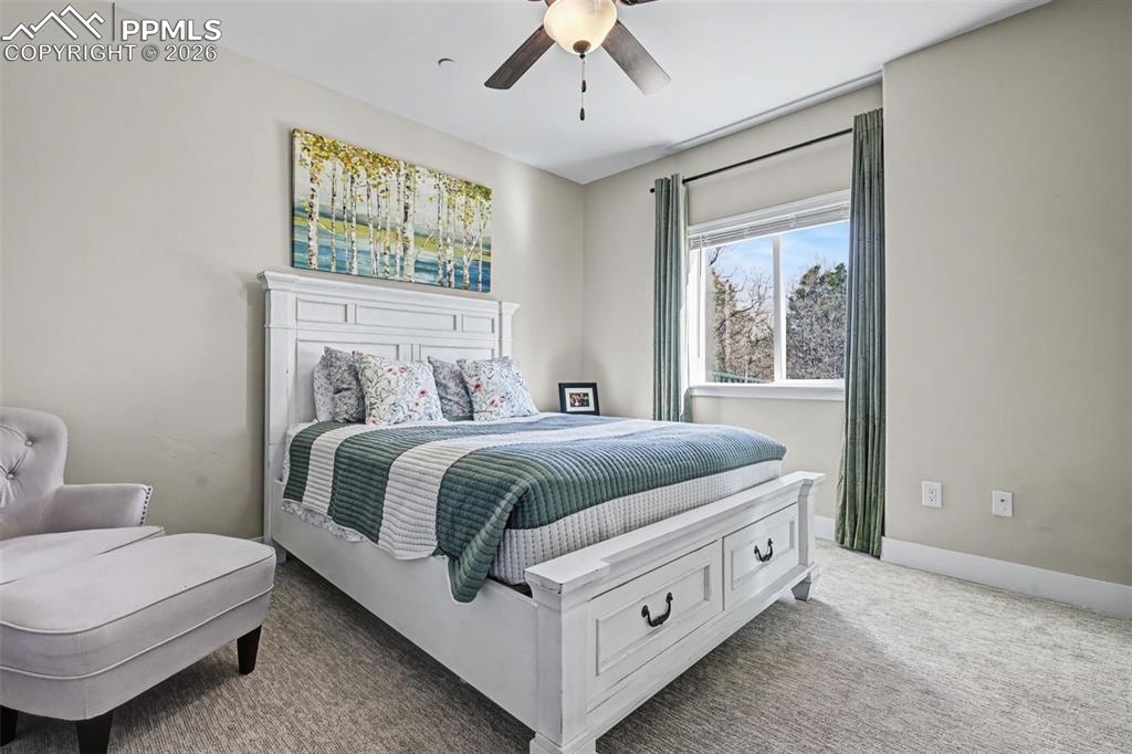 Image 34 of 48: No Description Available