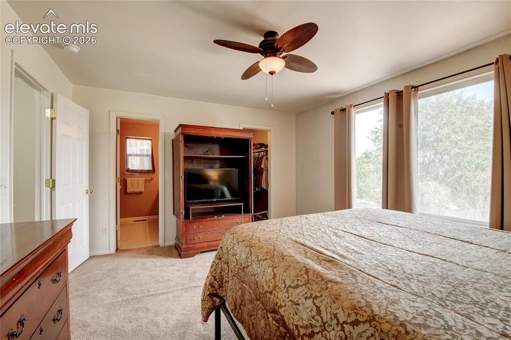 Image 16 of 34: Carpeted room featuring a ceiling fan, two windows with curtain rods, and t