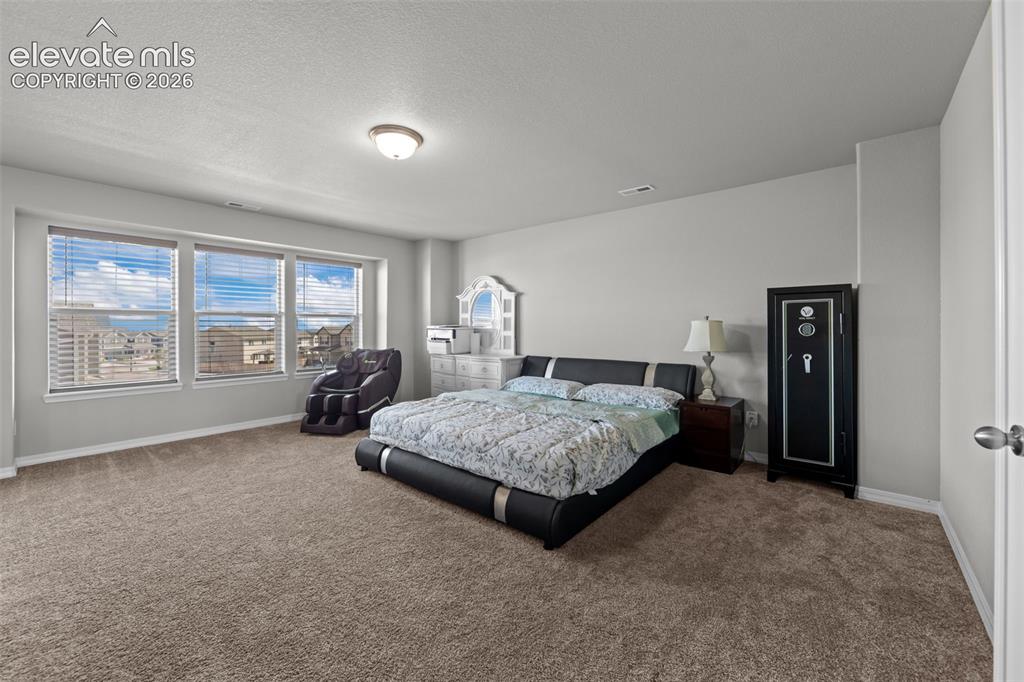 Image 14 of 41: Carpeted room featuring a ceiling-mounted light fixture, three windows with