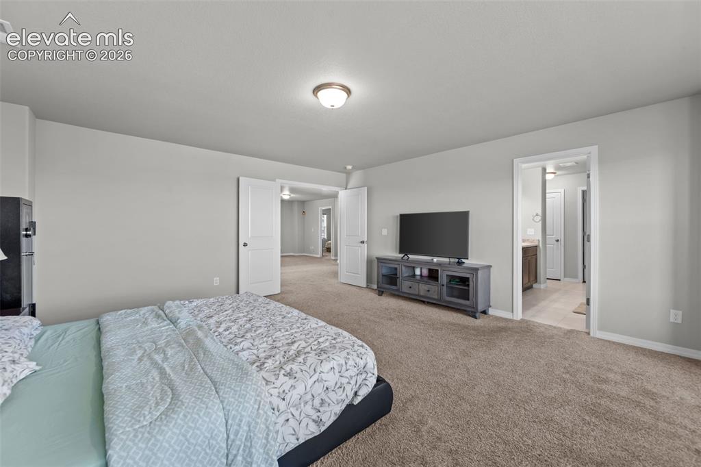 Image 16 of 41: Plush carpeted flooring with light gray wall finishes and white trim