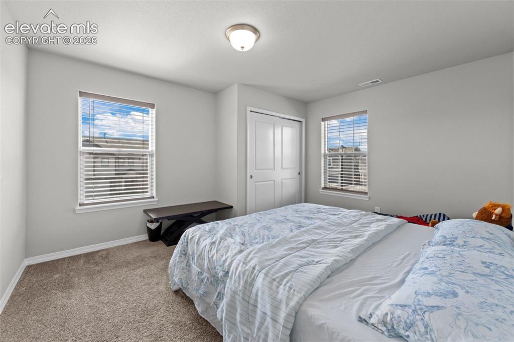 Image 20 of 41: Carpeted room with two windows, a ceiling-mounted light fixture, and a bi-f